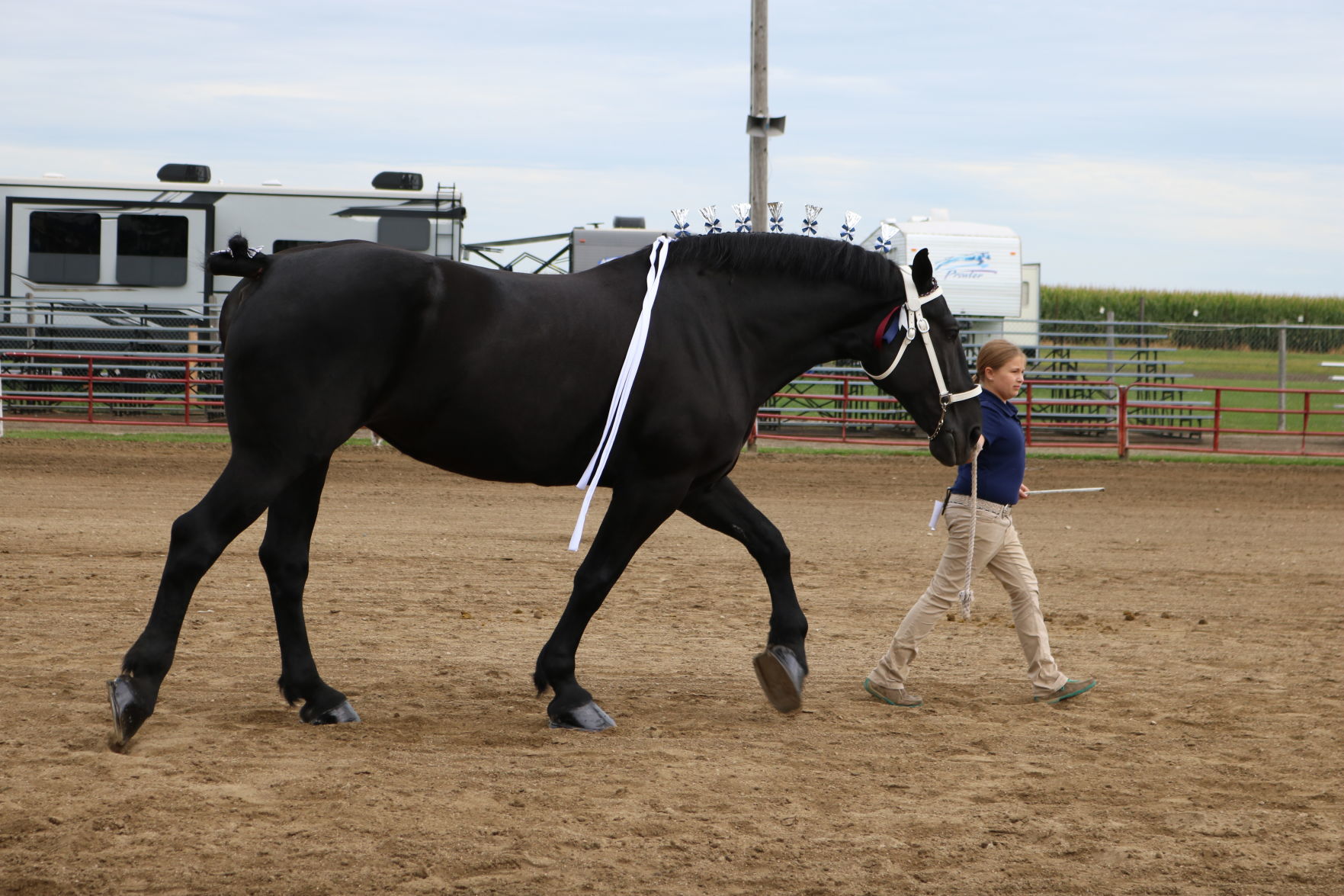 Jr Showmanship 2